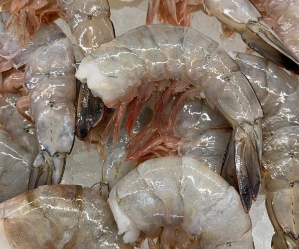 Jumbo 16-20 “Diamond Blue” Wild Shrimp $18.99/lb. SPECIAL!
