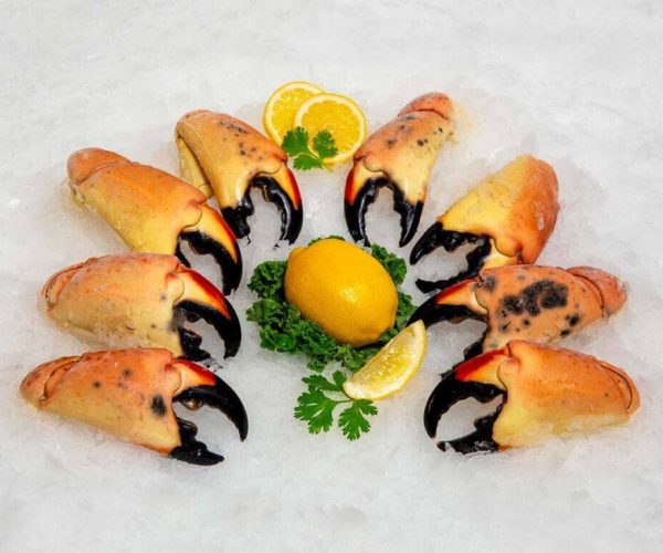 Fresh Jumbo Stone Crab Claws. Fresh In!