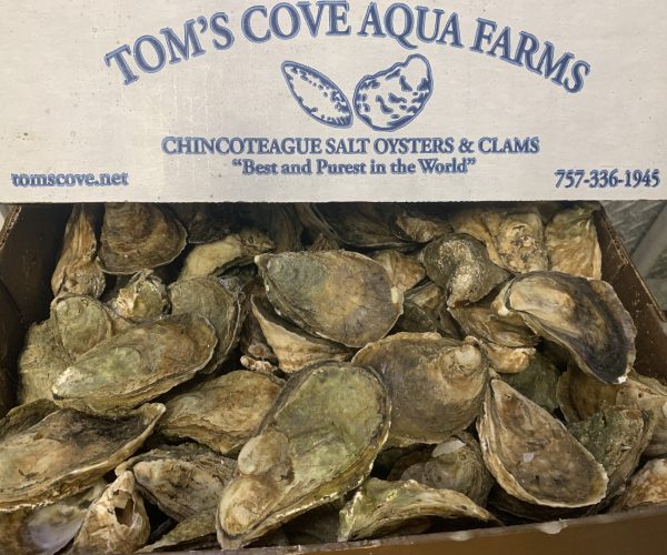 Fresh Harvest “Chincoteague Salts” Oysters $14.99/doz. or 100ct. Box-$84.99