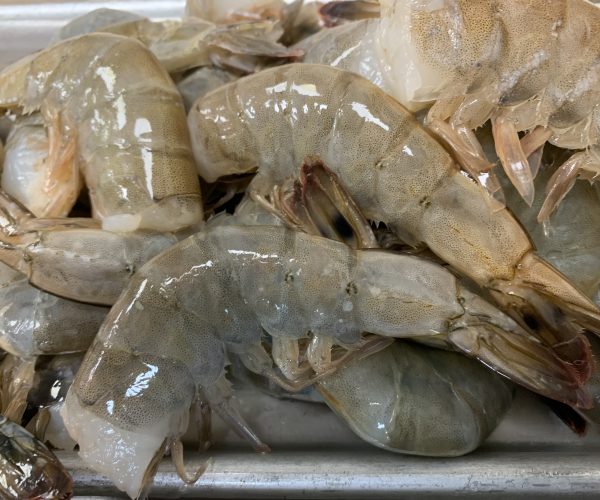 13-15 ct. Colossal Pacific White Shrimp. $19.99/lb.