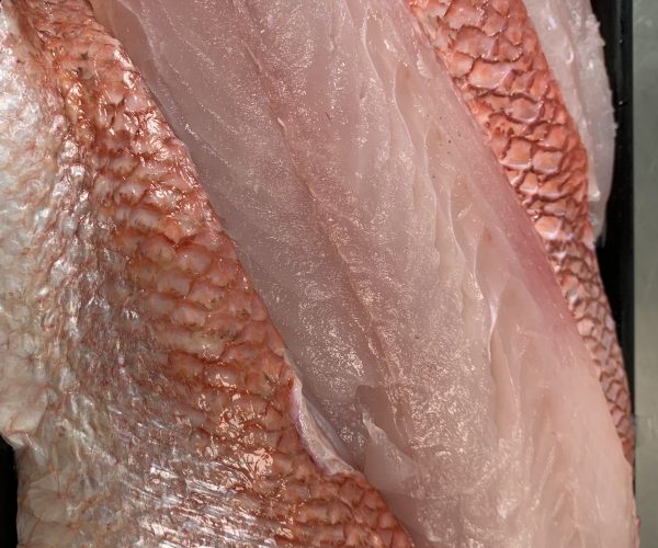 Fresh Queen Snapper Fillets..Fresh In!