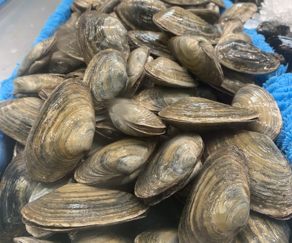 Fresh! Maine Steamer Clams..$12.99/lb.