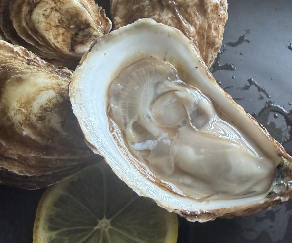 Fresh Black Point Oysters P.E.I. $21.99/doz.